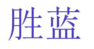 胜蓝 第27类地毯席垫 注册号38135684商标图样