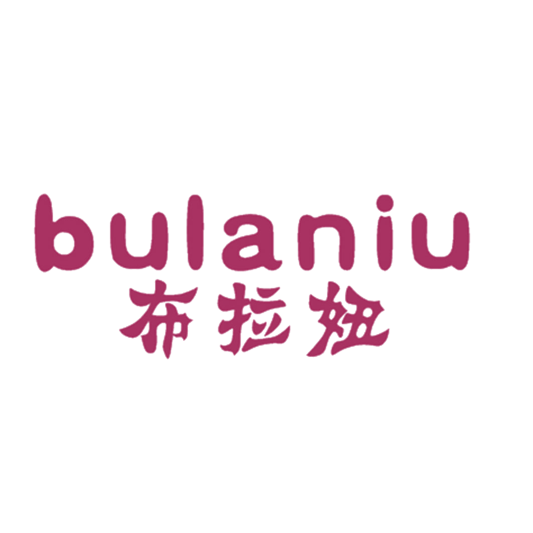 布拉妞 第25类服装鞋帽 注册号41243913商标图样