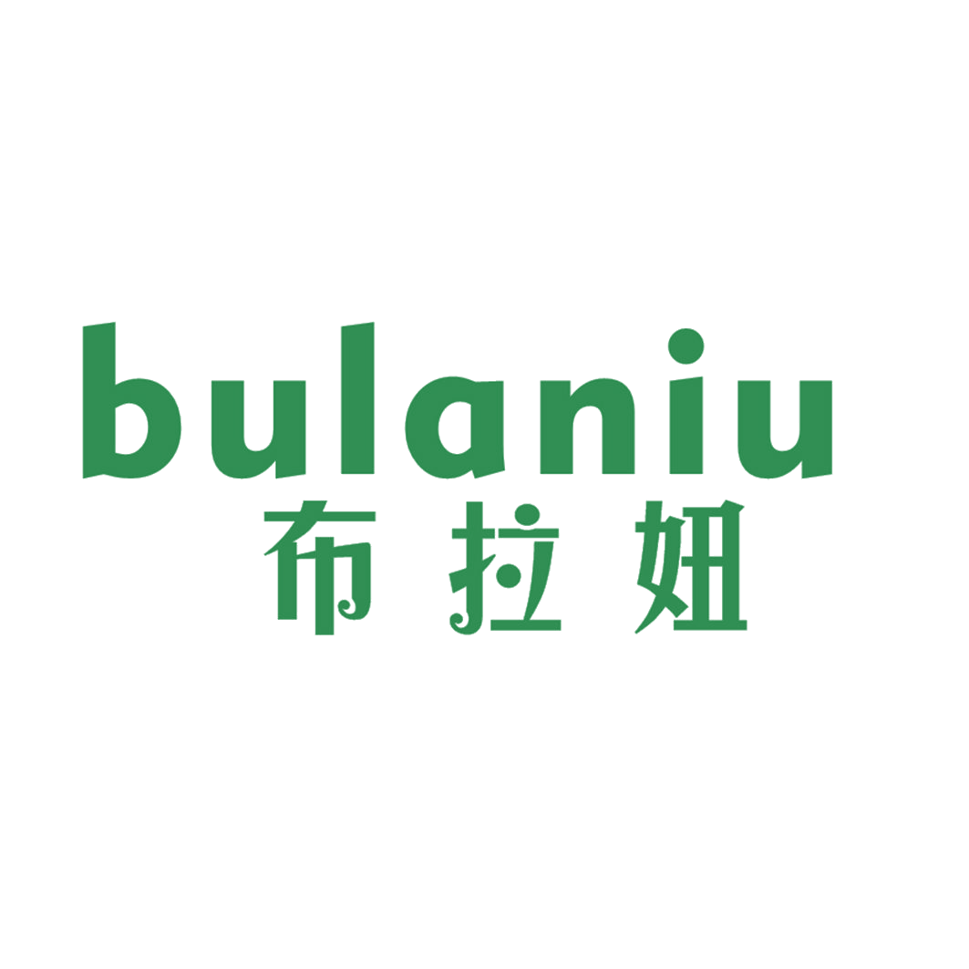 布拉妞 第25类服装鞋帽 注册号41527646商标图样