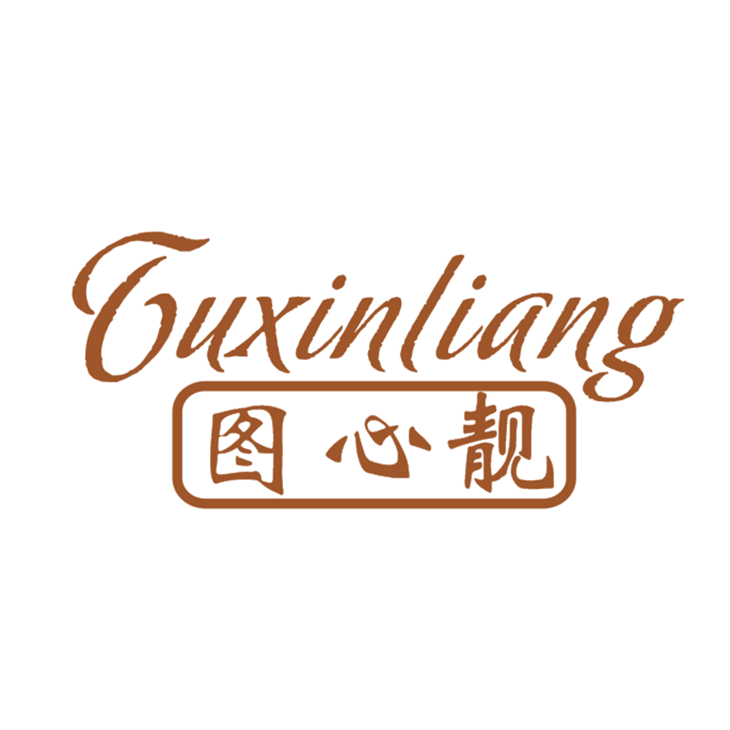 图心靓 第25类服装鞋帽 注册号42270059商标图样