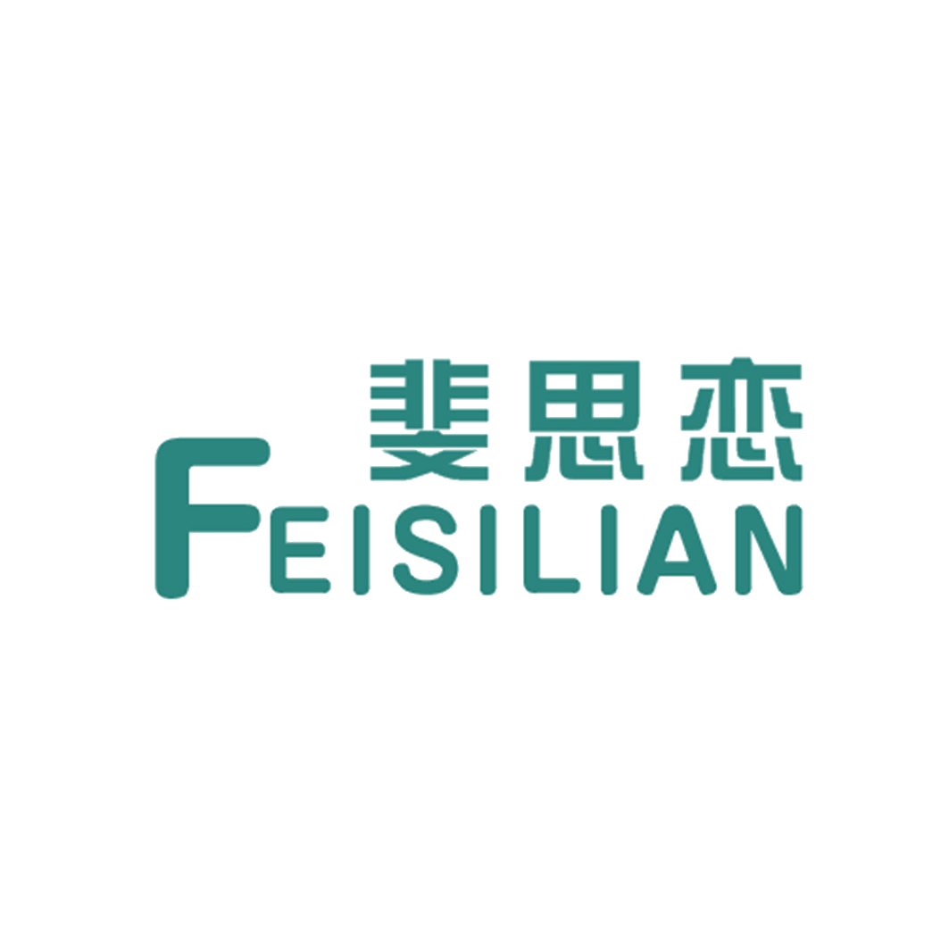 斐思恋 第25类服装鞋帽 注册号42950103商标图样