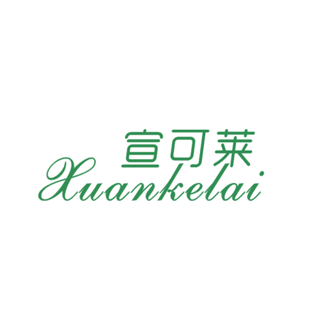 宣可莱 第25类服装鞋帽 注册号43296747商标图样