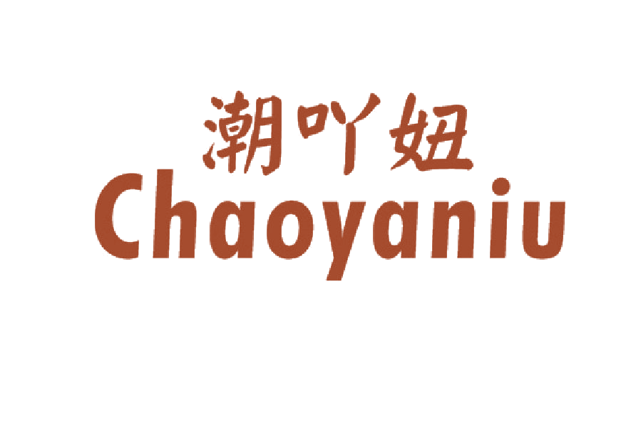 潮吖妞 第25类服装鞋帽 注册号45479411商标图样