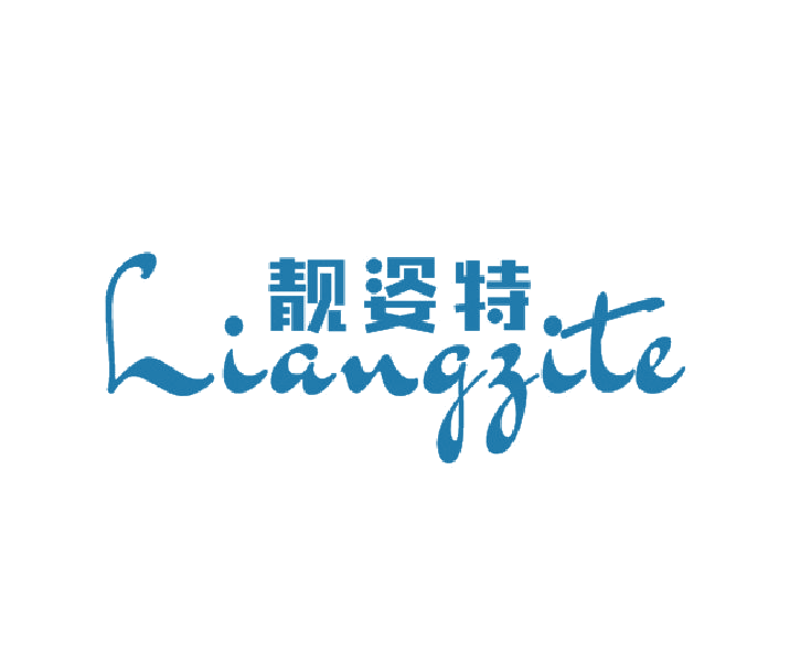 靓姿特 第25类服装鞋帽 注册号45789936商标图样
