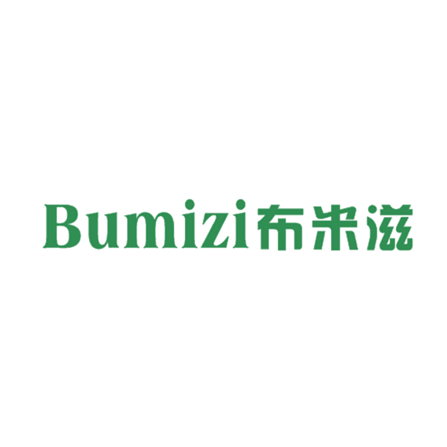 布米滋 第25类服装鞋帽 注册号46122196商标图样