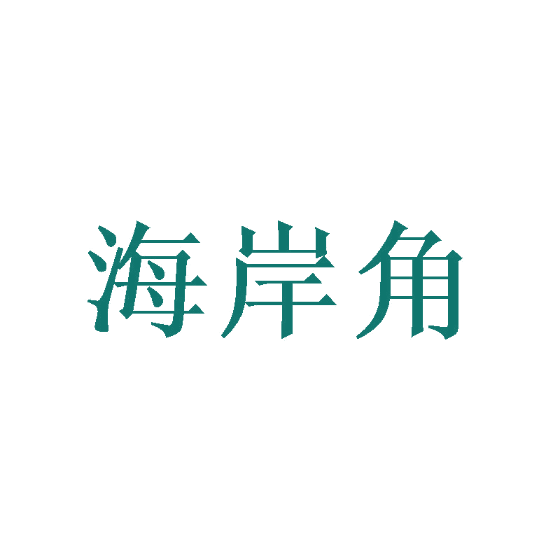 海岸角 第27类地毯席垫 注册号47456103商标图样