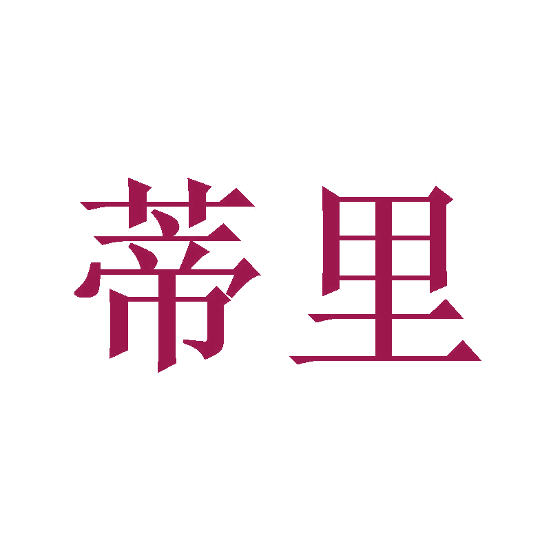 蒂里 第11类家用电器 注册号47475409商标图样