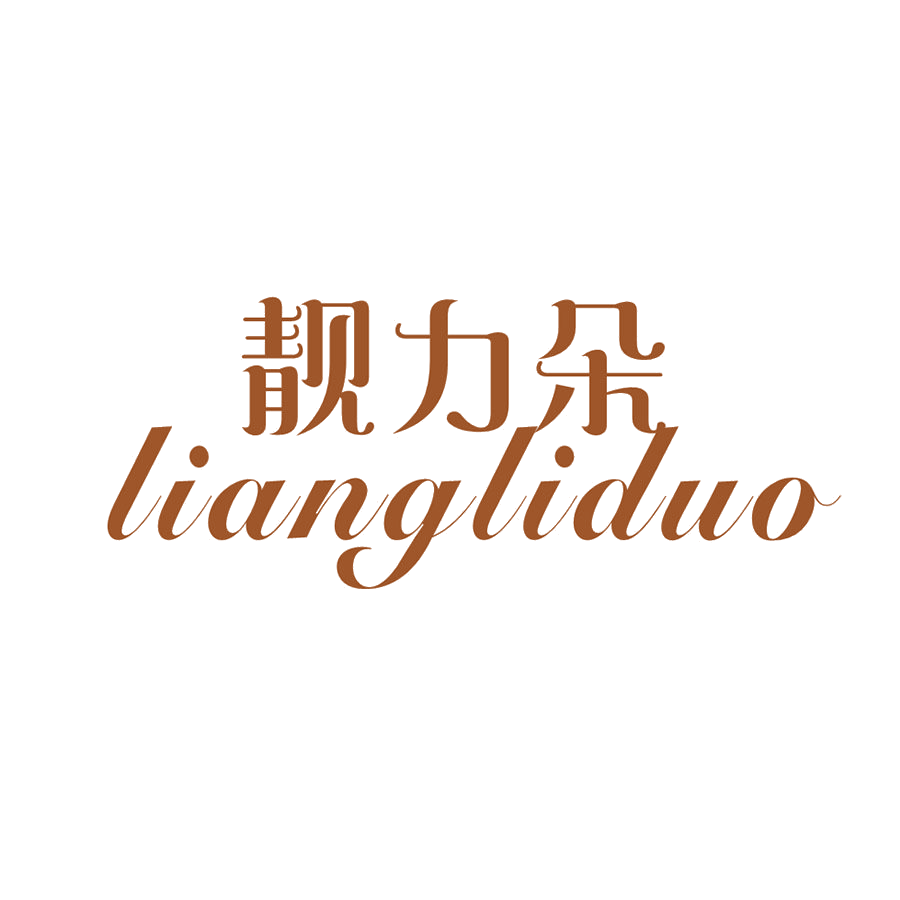 靓力朵 第25类服装鞋帽 注册号47704582商标图样
