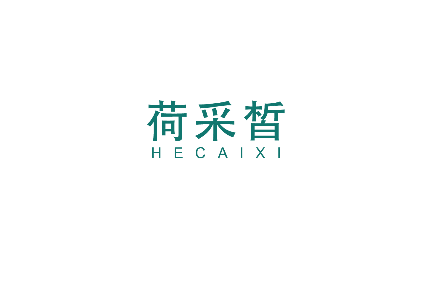 荷采皙 第3类日化用品 注册号48623355商标图样