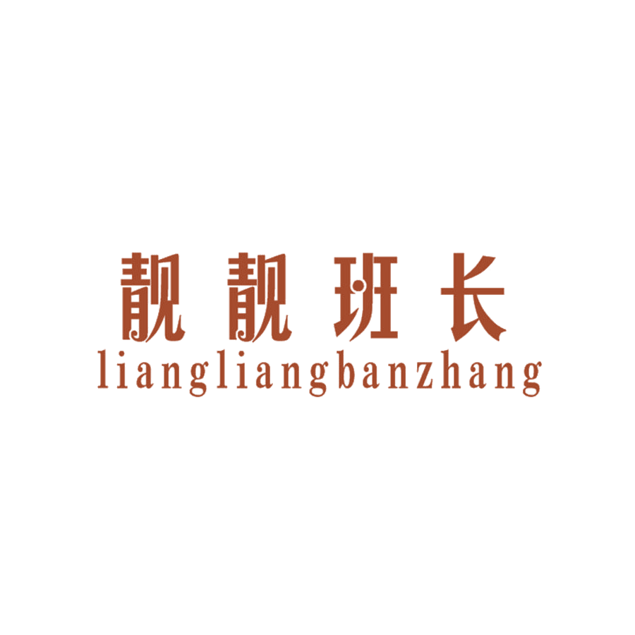 靓靓班长 第25类服装鞋帽 注册号49458848商标图样