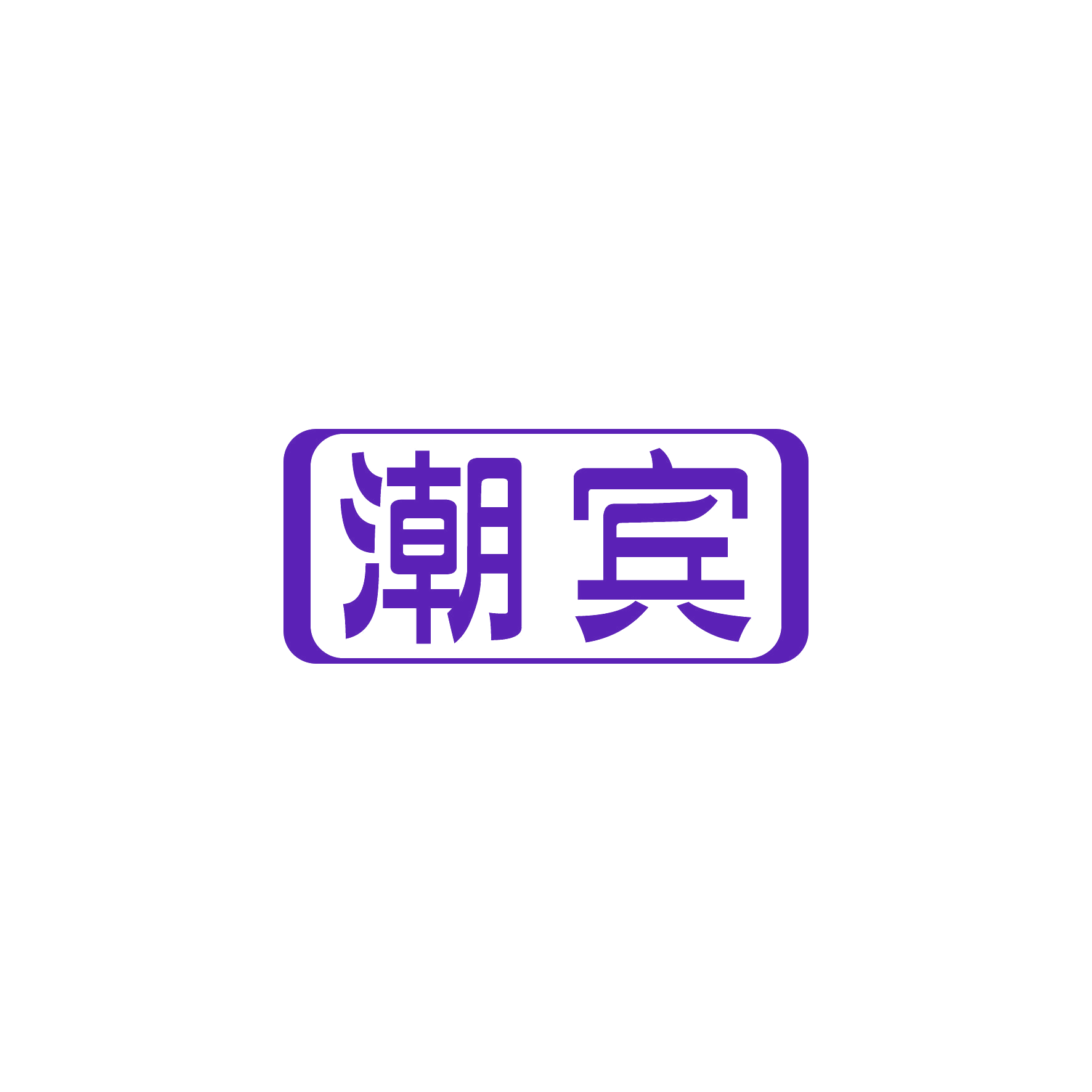 潮宾 第9类科学仪器 注册号49606084商标图样