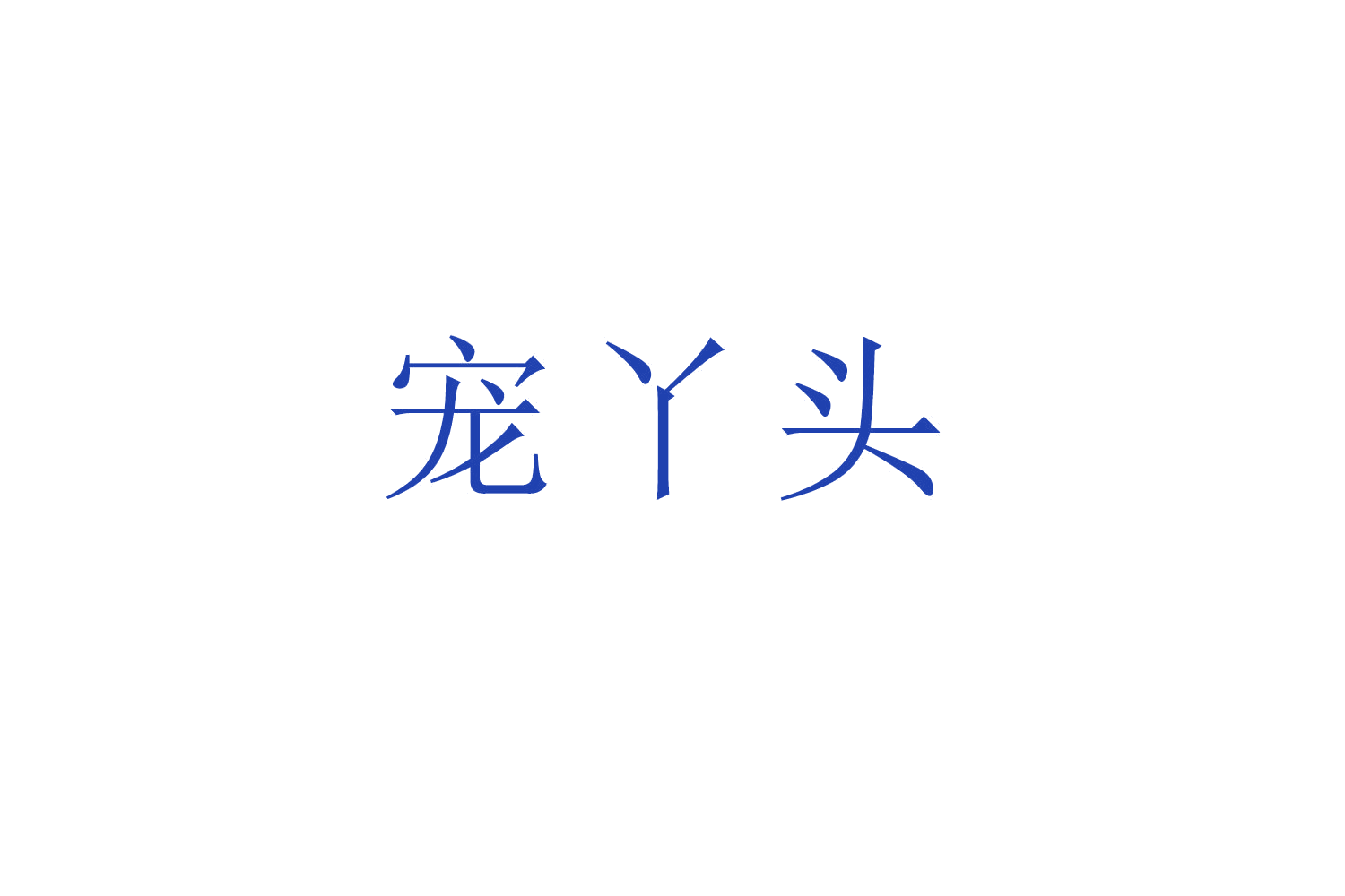 宠丫头 第18类皮革皮具 注册号52499975商标图样