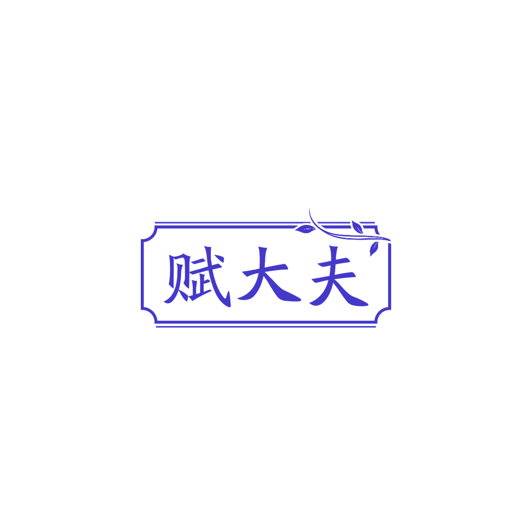 赋大夫 第10类医疗器械 注册号58080667商标图样