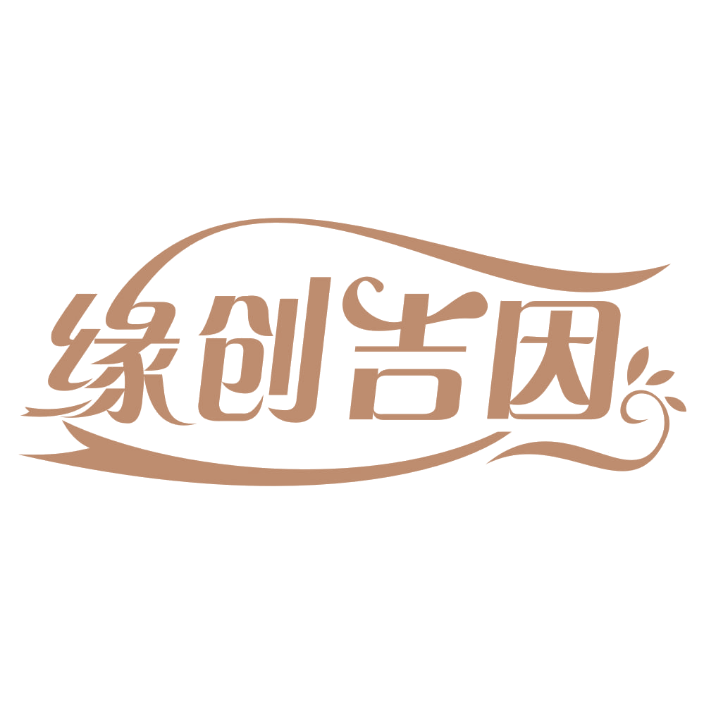 缘创吉因 第41类教育娱乐 注册号65946681商标图样