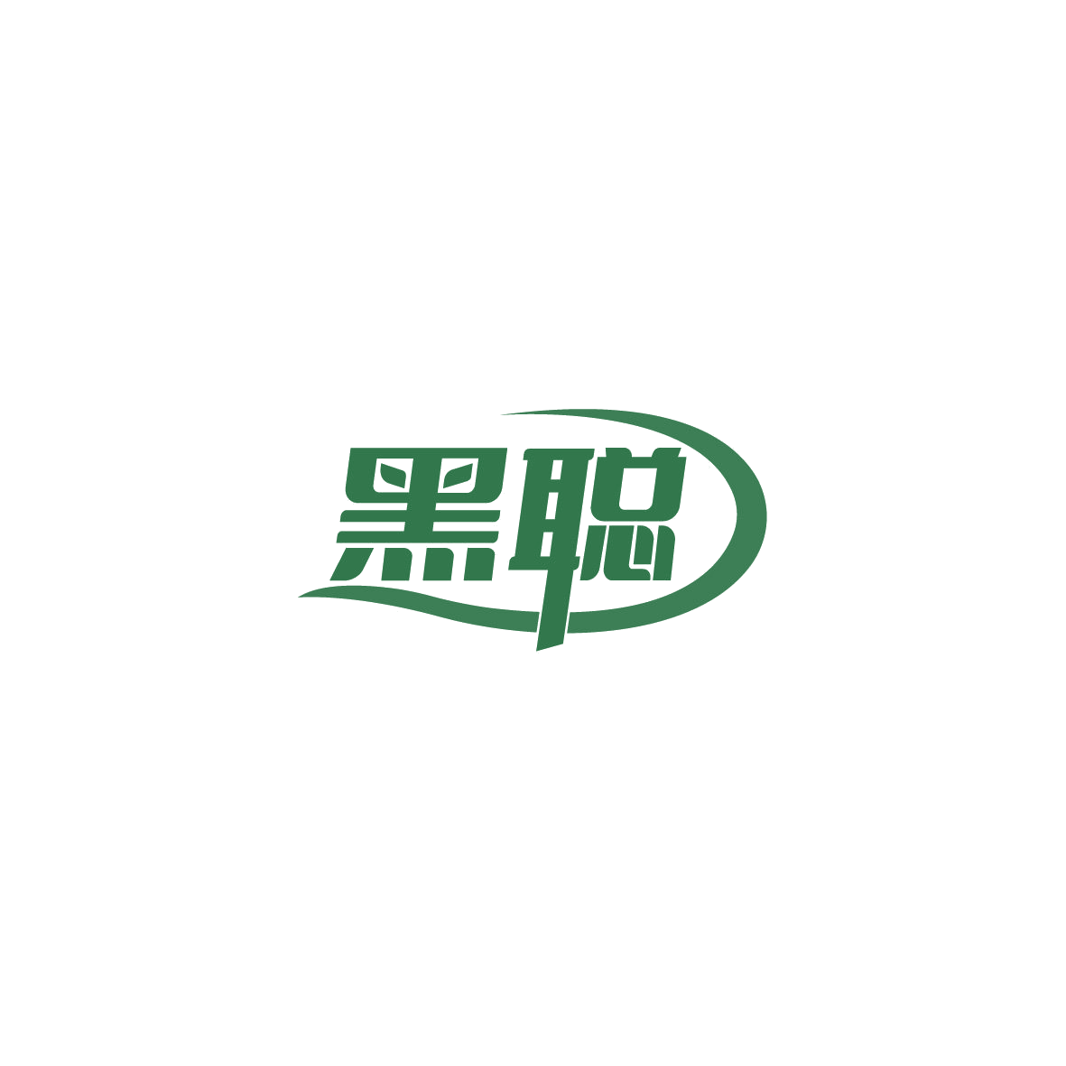 黑聪 第9类科学仪器 注册号73195867商标图样