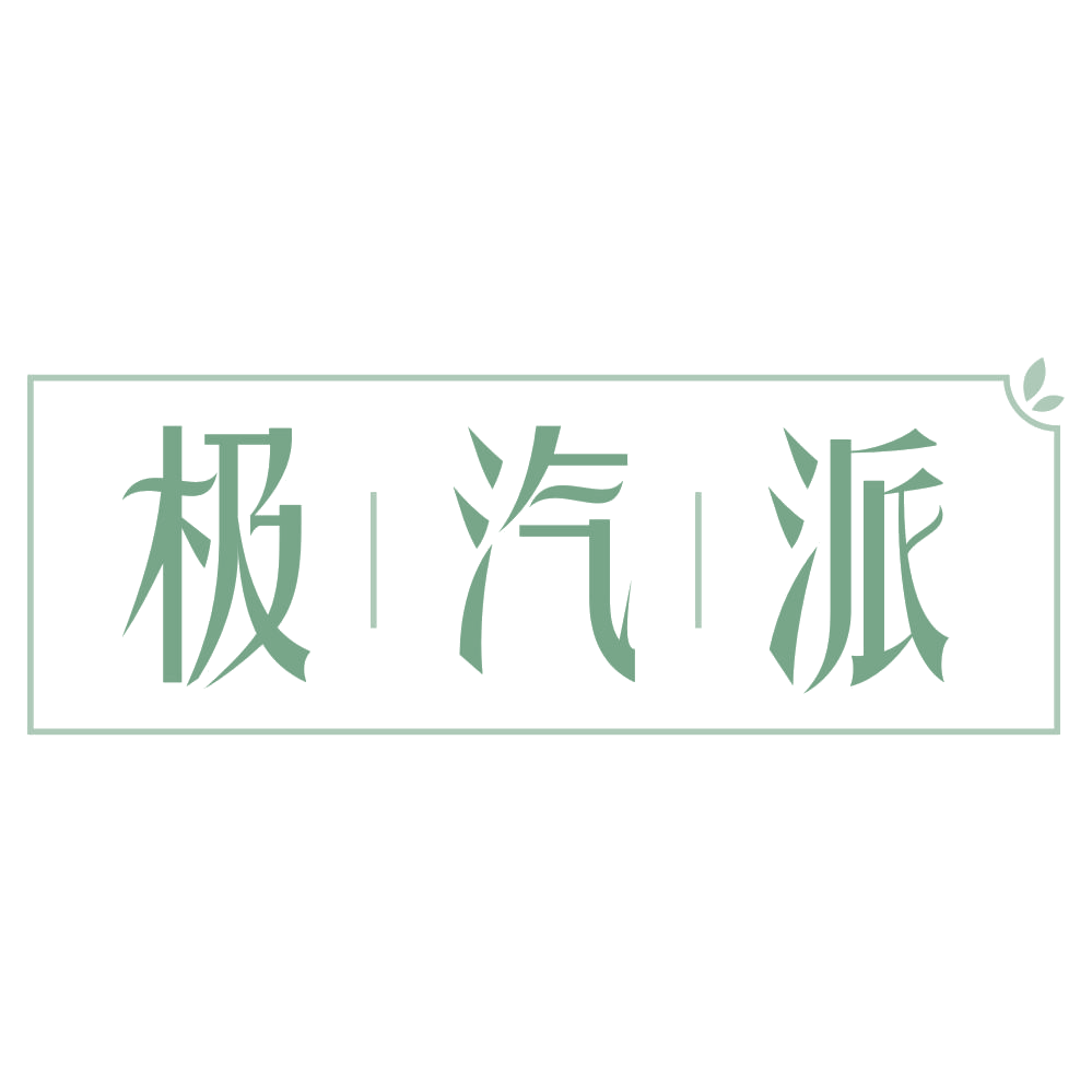 极汽派 第3类日化用品 注册号73898815商标图样
