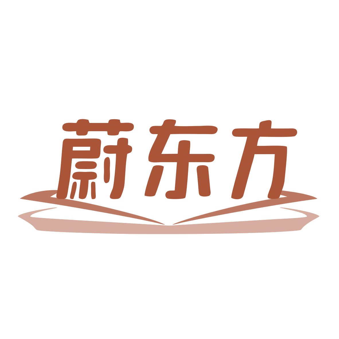 蔚东方 第11类家用电器 注册号74304826商标图样