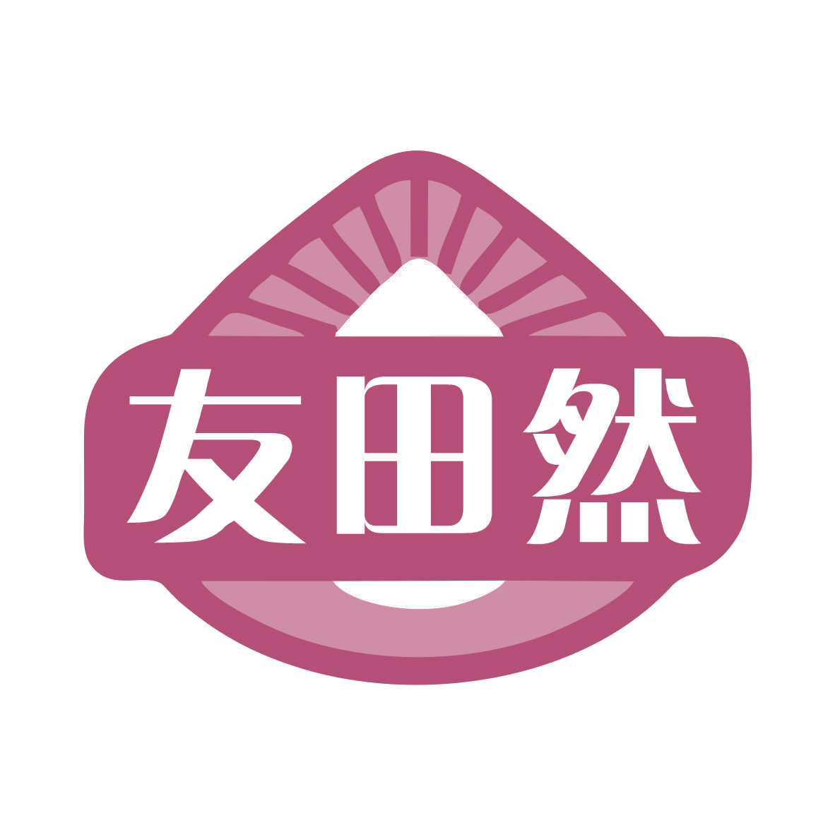 友田然 第29类食品罐头 注册号75963124商标图样