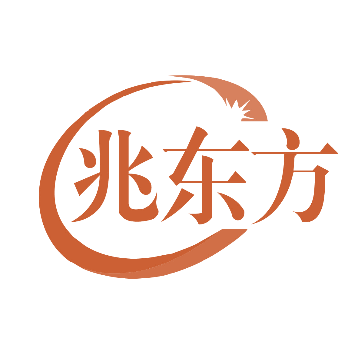 兆东方 第6类五金金属 注册号76197574商标图样