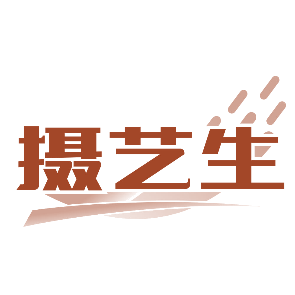 摄艺生 第41类教育娱乐 注册号76941858商标图样