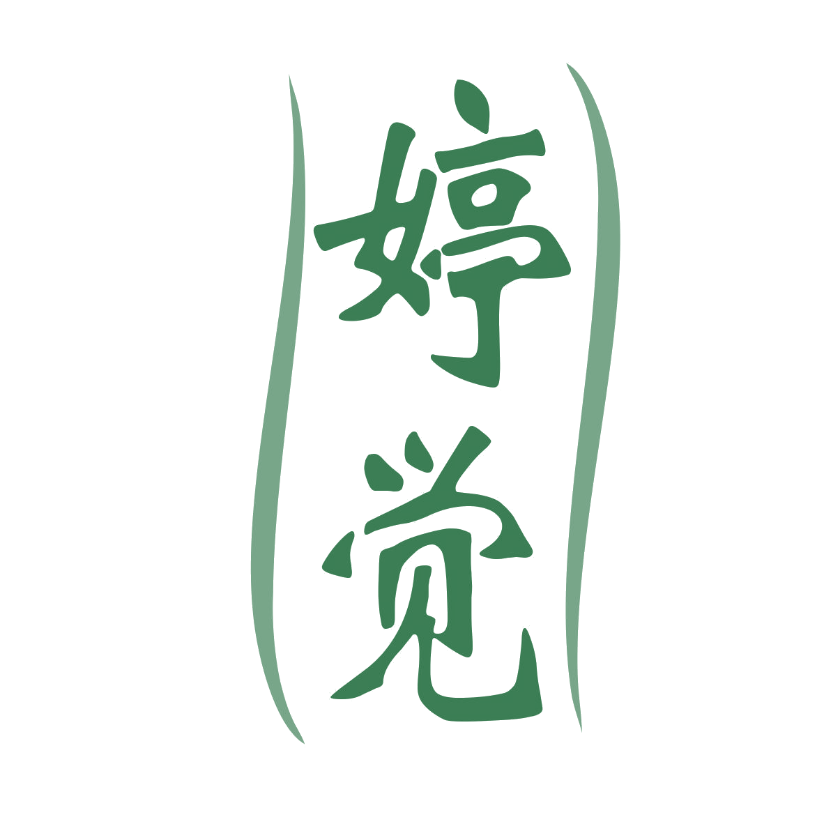 婷觉 第25类服装鞋帽 注册号77295947商标图样