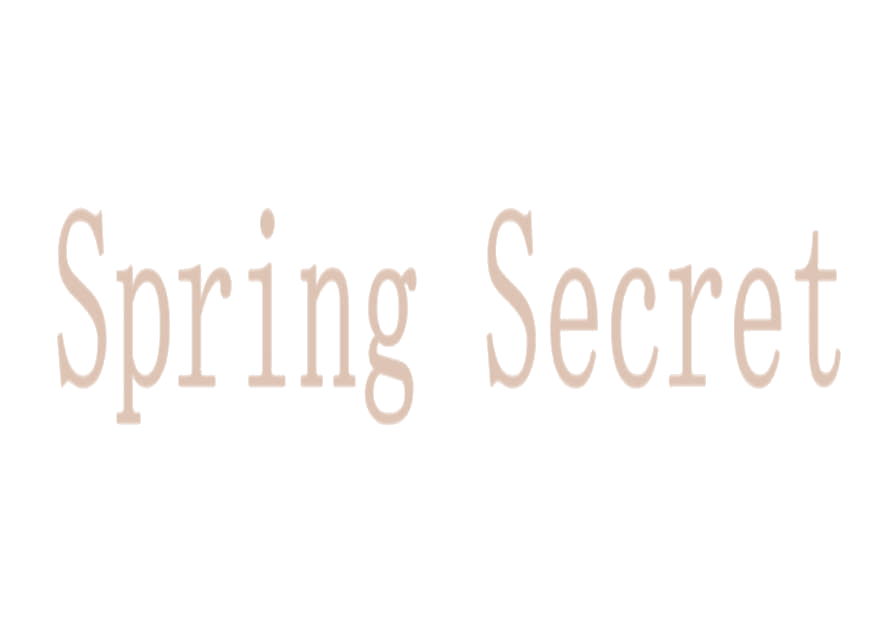 SPRING SECRET 第18类皮革皮具 注册号77558699商标图样