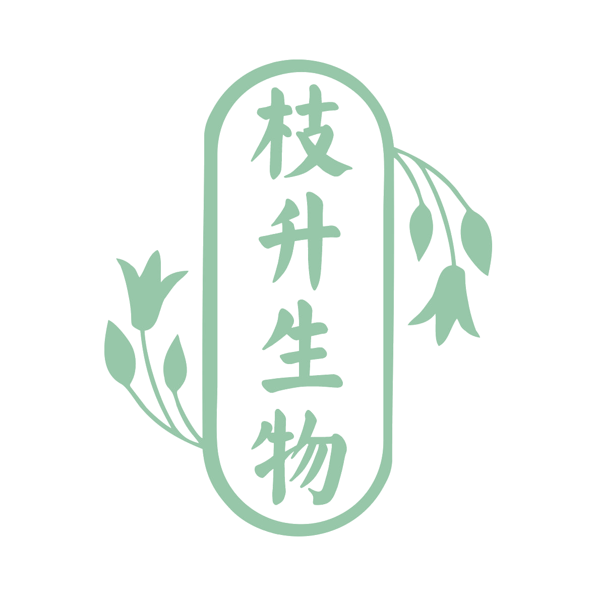 枝升生物 第10类医疗器械 注册号77661926商标图样