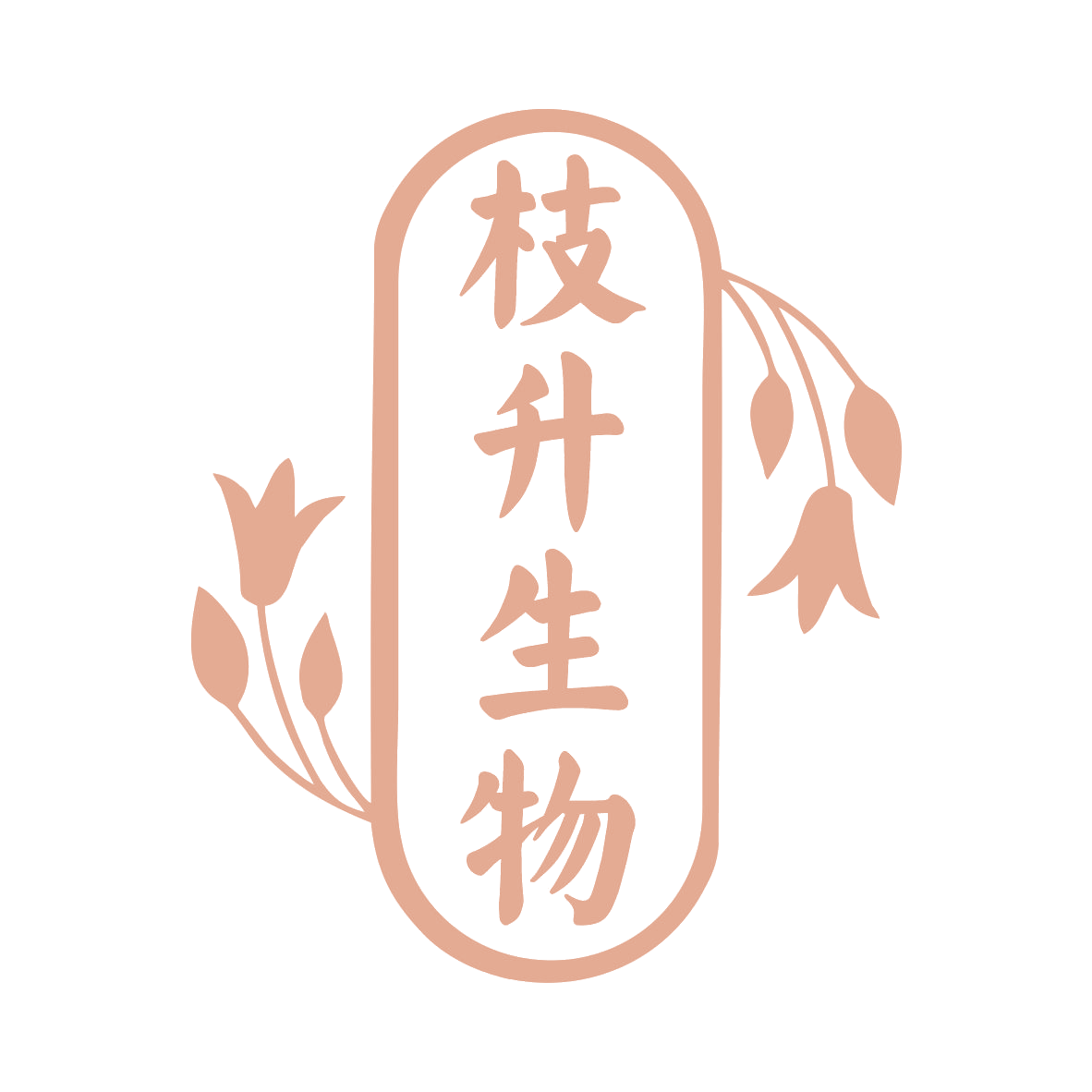 枝升生物 第5类医药 注册号77662492商标图样