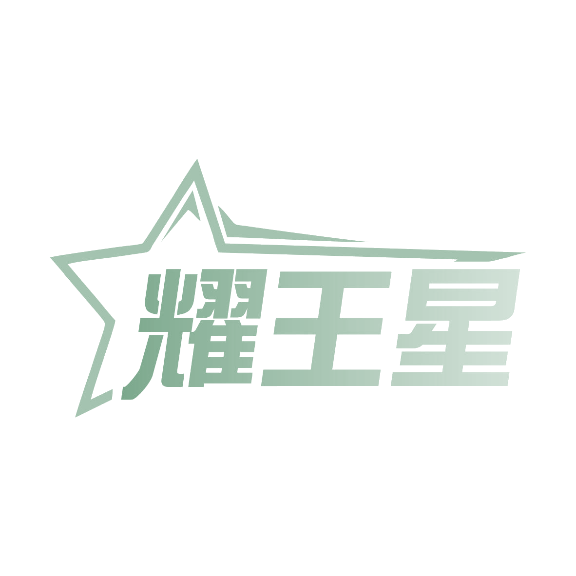 耀王星 第3类日化用品 注册号77669784商标图样