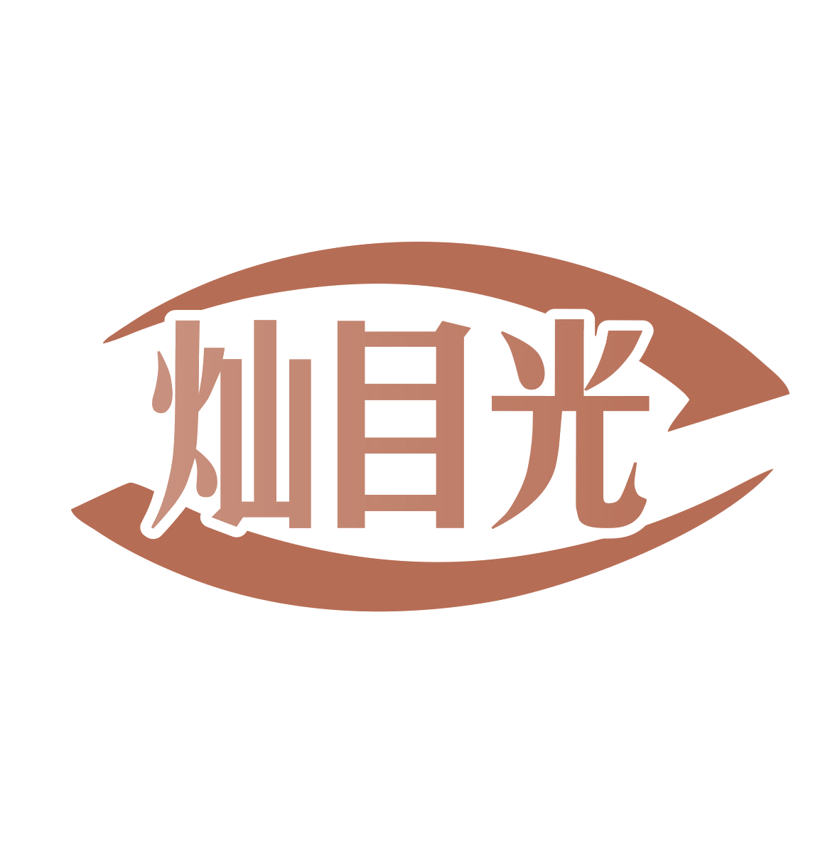 灿目光 第35类广告销售 注册号77841104商标图样