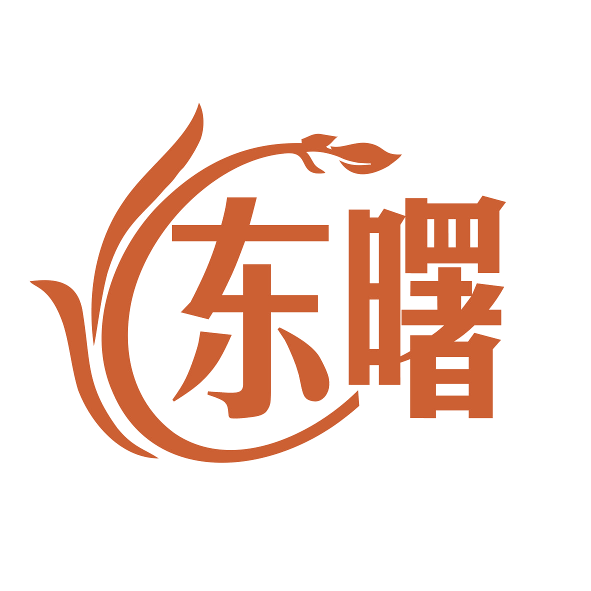 东曙 第41类教育娱乐 注册号77845207商标图样