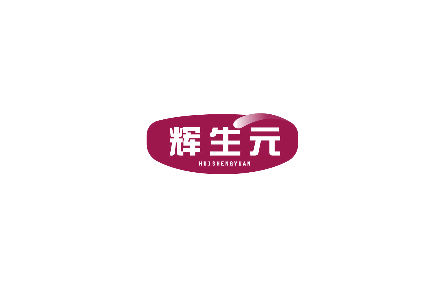 辉生元 第10类医疗器械 注册号77859607商标图样