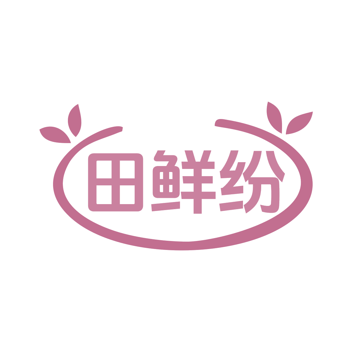 田鲜纷 第29类食品罐头 注册号77985279商标图样