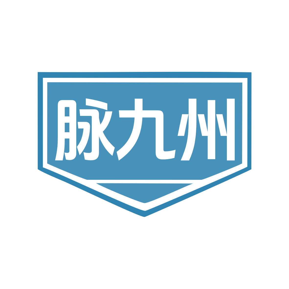 脉九州 第45类社会服务 注册号78060072商标图样