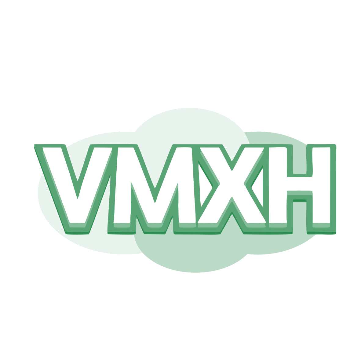 VMXH 第9类科学仪器 注册号78129435商标图样