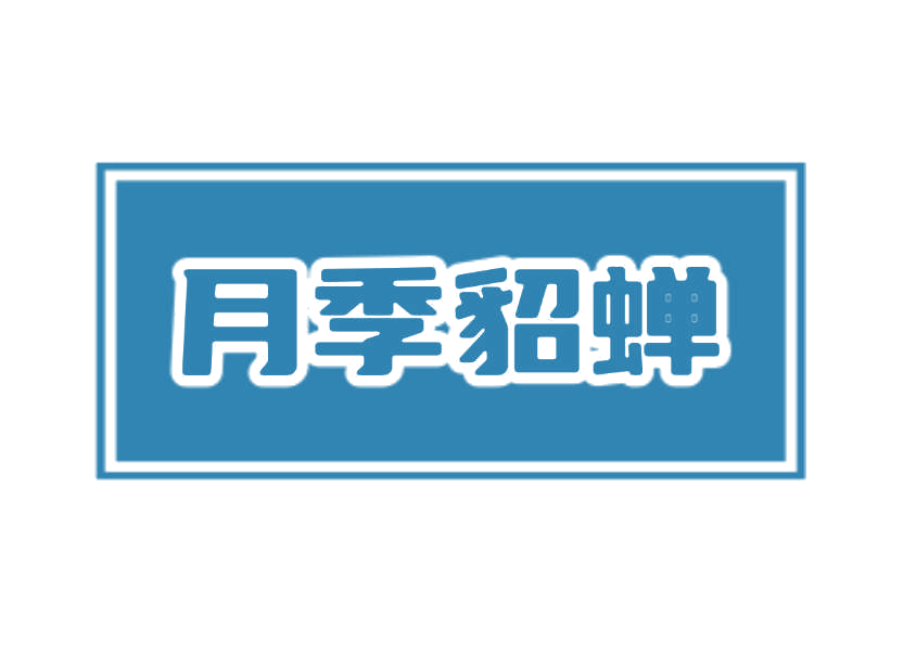 月季貂蝉 第25类服装鞋帽 注册号78241835商标图样