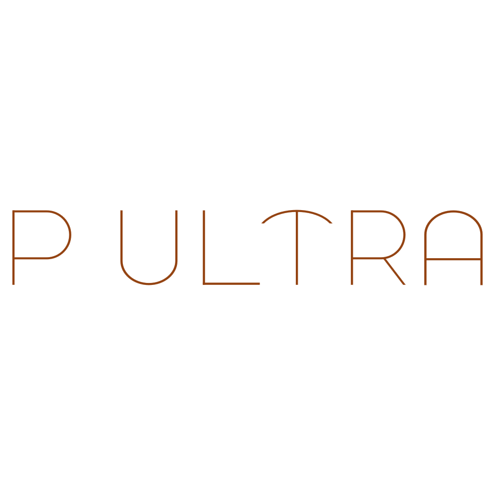 P ULTRA 第20类家具 注册号78246204商标图样