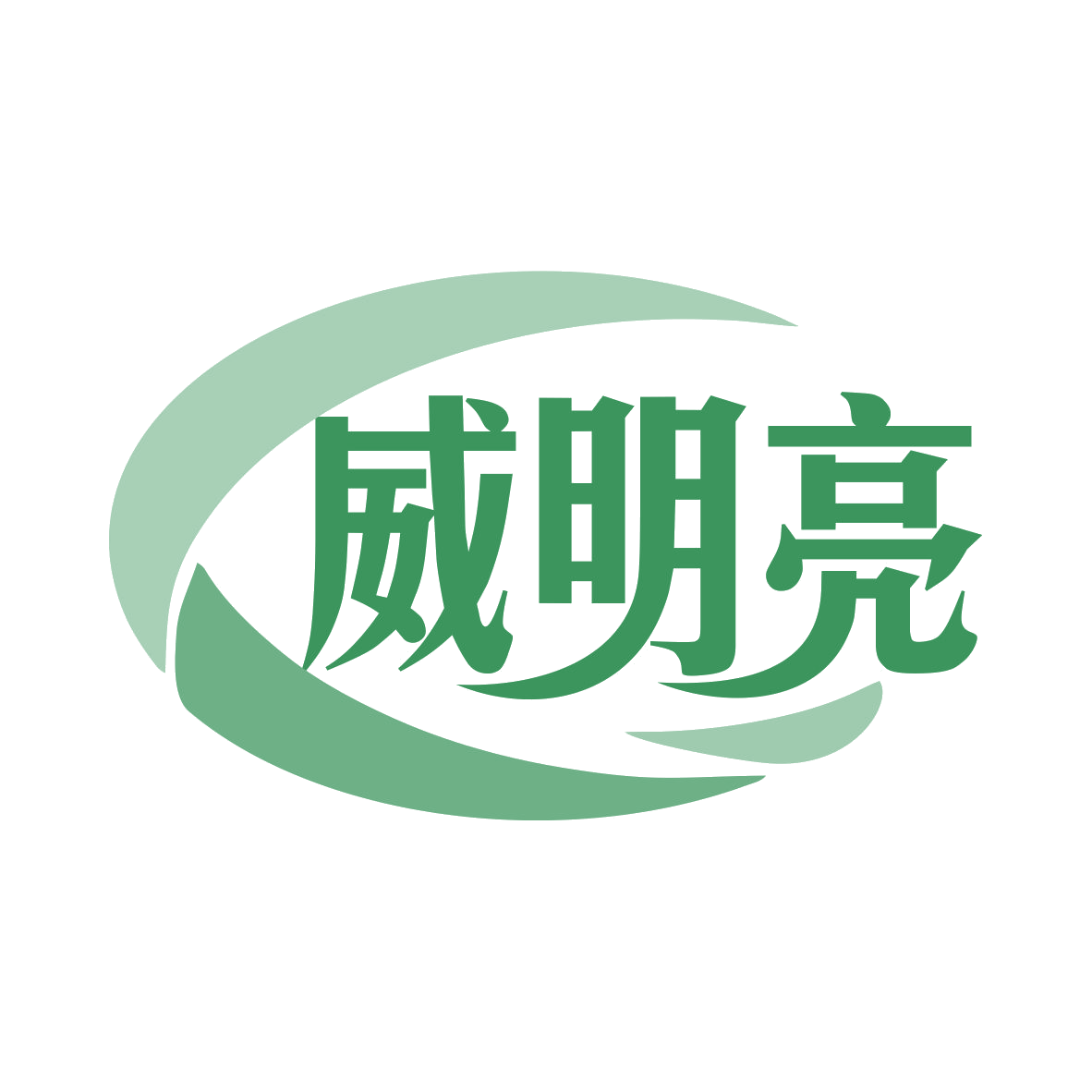 威明亮 第9类科学仪器 注册号78299595商标图样