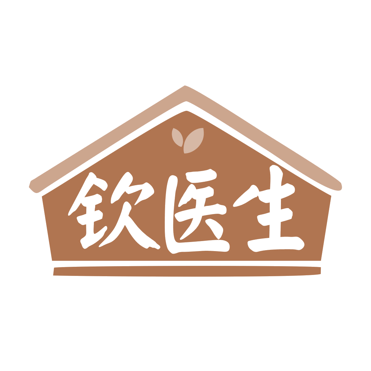 钦医生 第10类医疗器械 注册号78318789商标图样