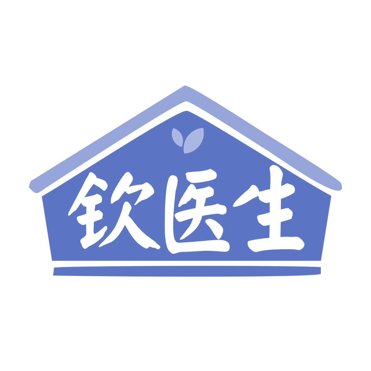 钦医生 第3类日化用品 注册号78333593商标图样