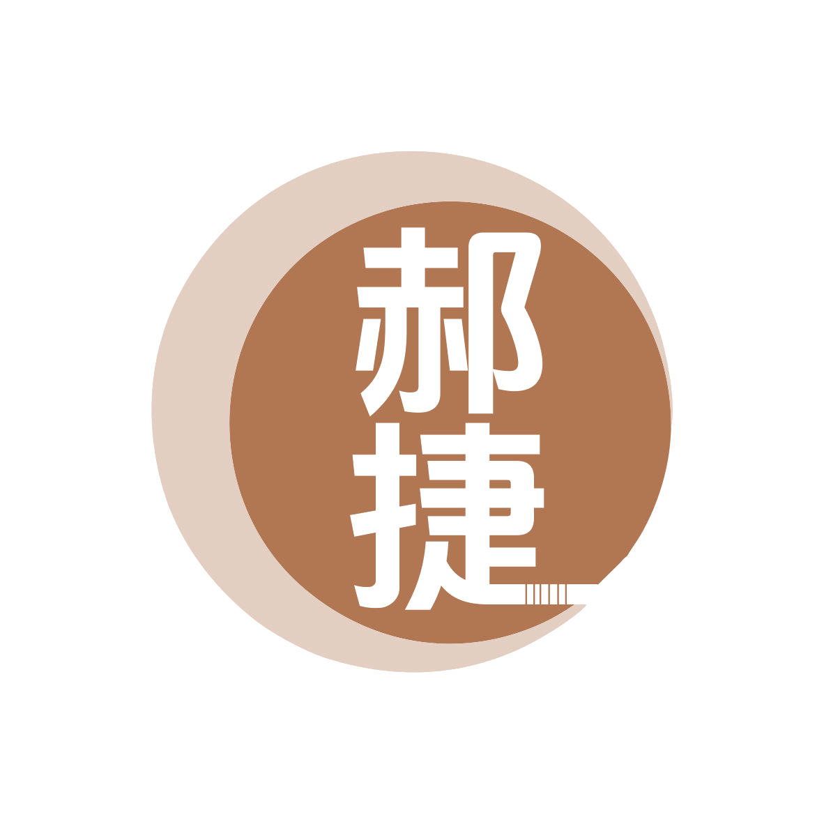 郝捷 第9类科学仪器 注册号78548927商标图样