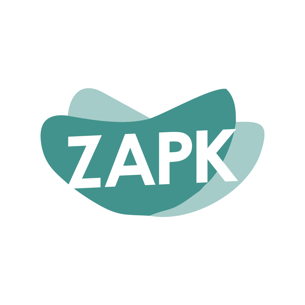 ZAPK 第35类广告销售 注册号78574929商标图样