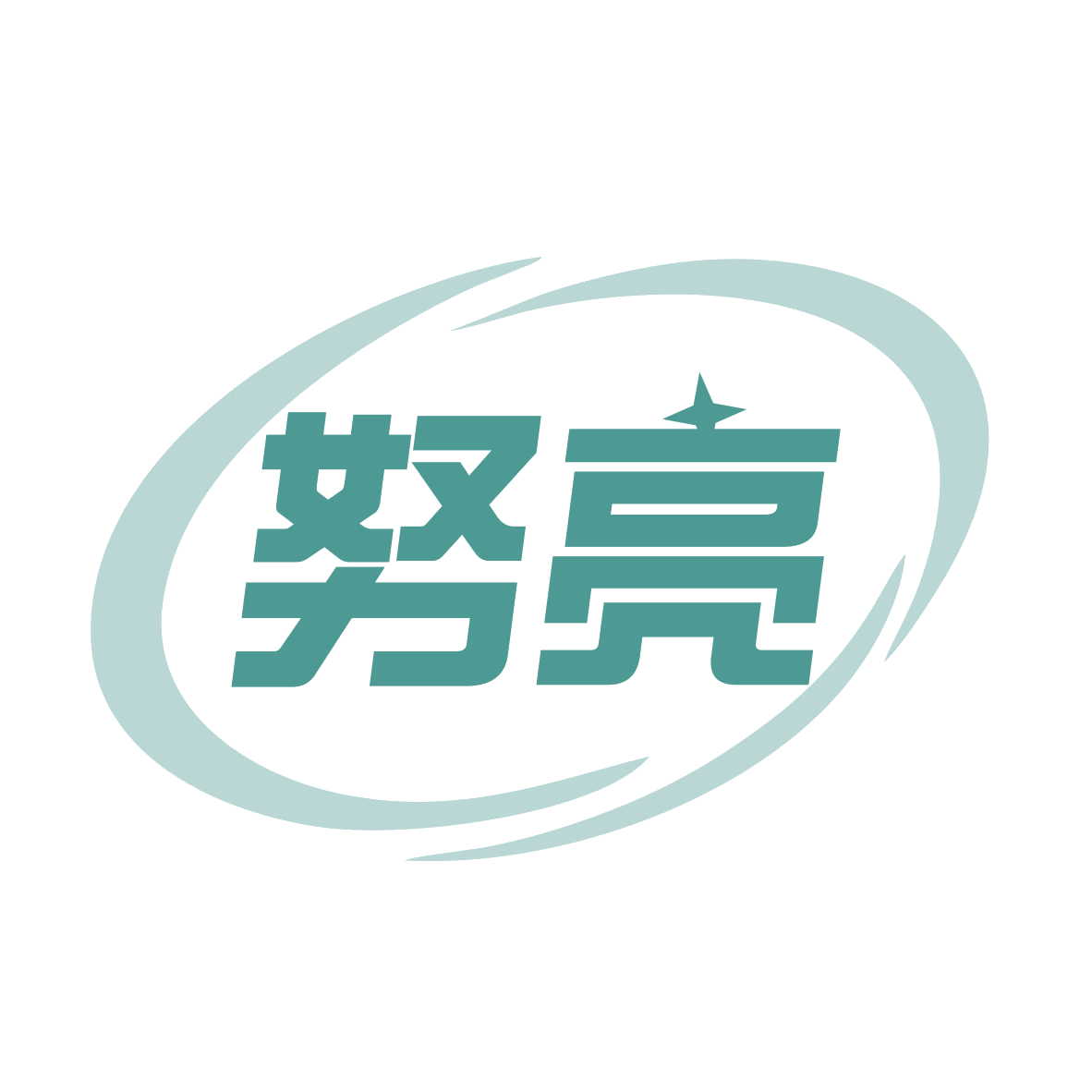 努亮 第9类科学仪器 注册号78701267商标图样