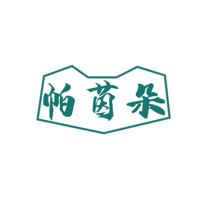 帕茵朵 第25类服装鞋帽 注册号78786655商标图样