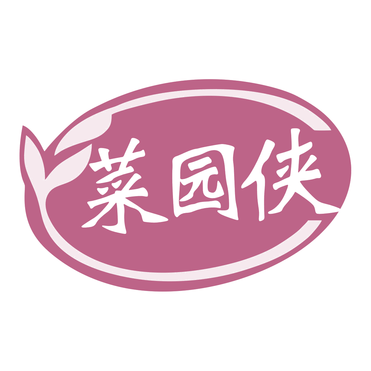菜园侠 第29类食品罐头 注册号78801228商标图样