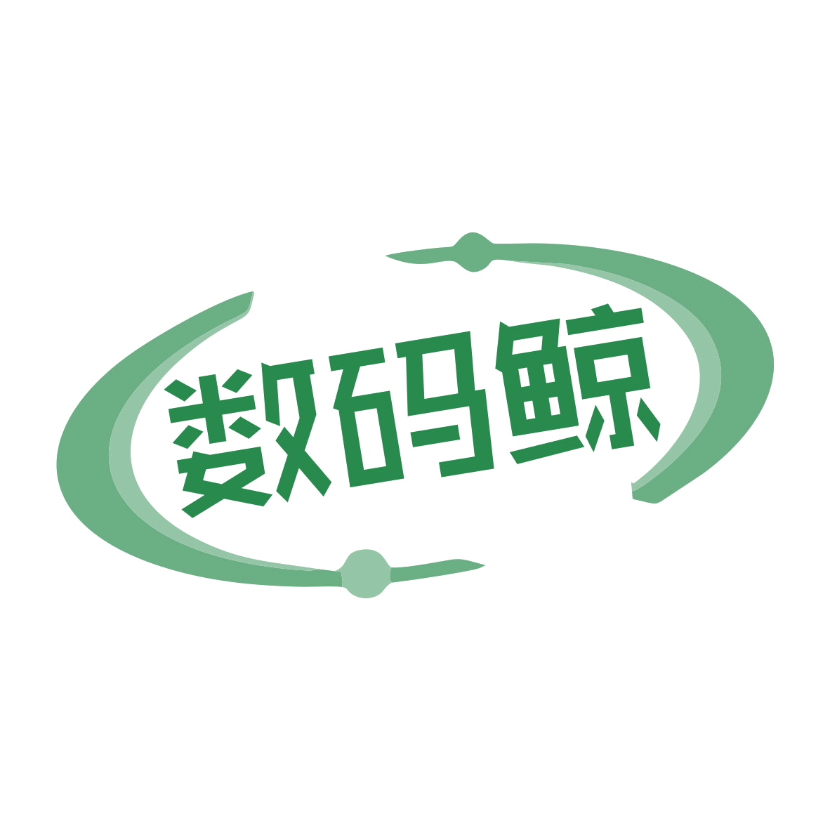 数码鲸 第41类教育娱乐 注册号78829585商标图样
