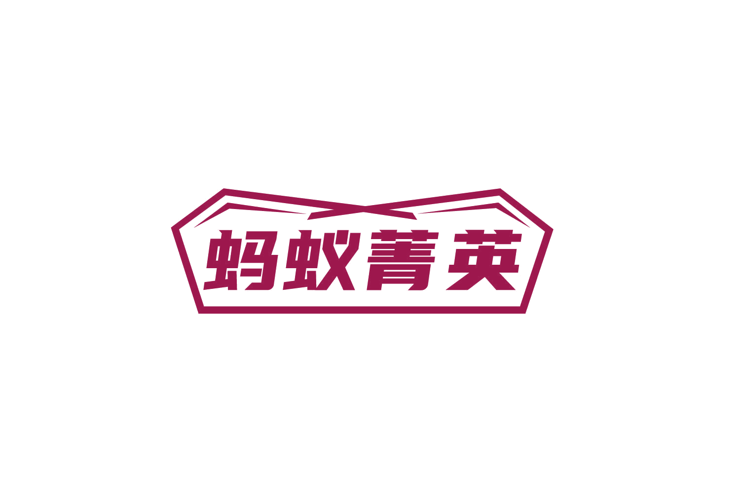 蚂蚁菁英 第9类科学仪器 注册号78833368商标图样