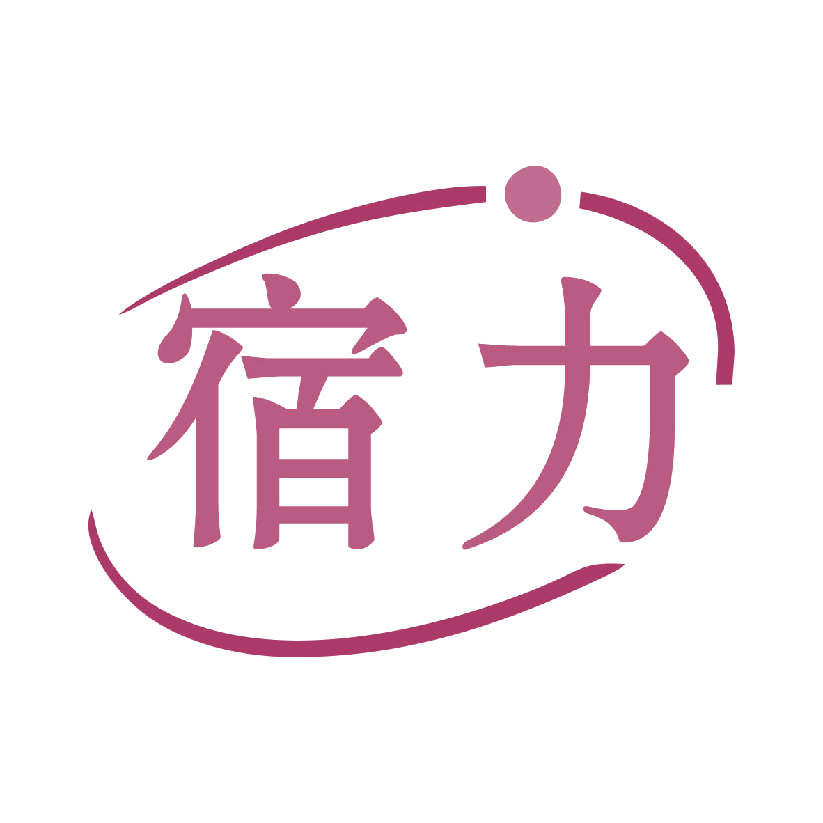 宿力 第9类科学仪器 注册号78834845商标图样