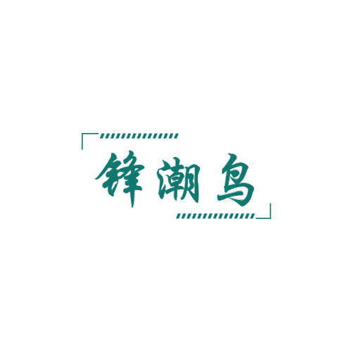 锋潮鸟 第25类服装鞋帽 注册号78987182商标图样
