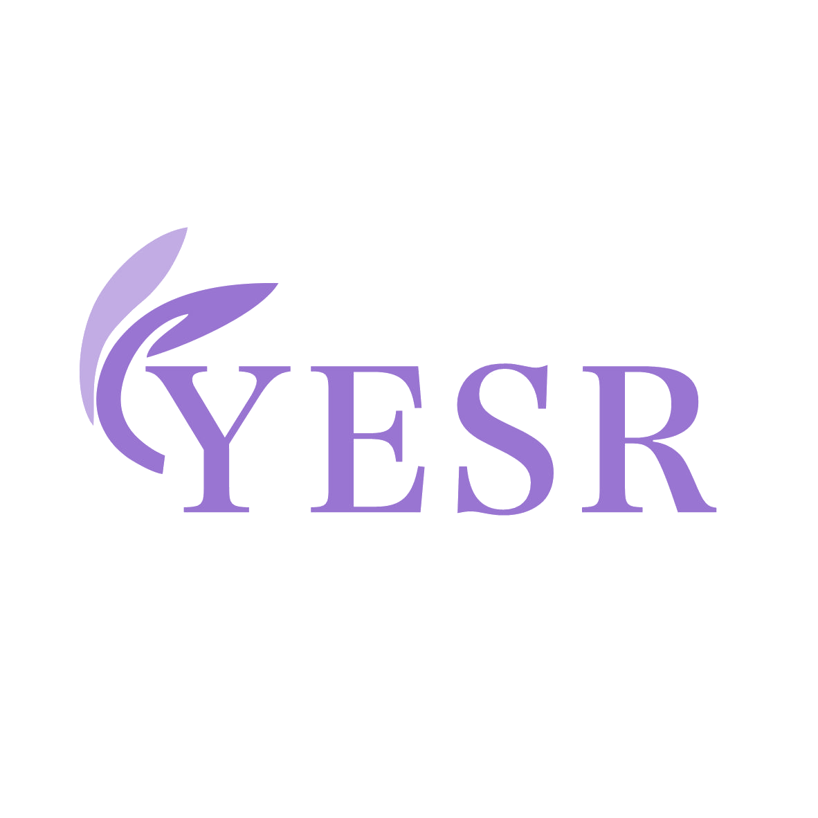 YESR 第26类纽扣拉链 注册号79080093商标图样